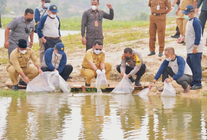 Peringati Hari Air Sedunia XXIX Tahun 2021 Bupati Kampar Tanam Pohon Dan Tabur Benih Ikan