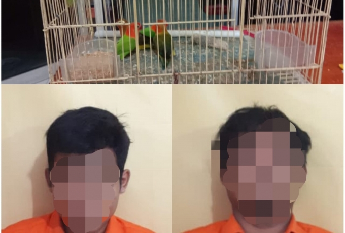 Bongkar Toko Burung di Desa Petapahan, 2 Pelaku Pencurian ini Ditangkap Polsek Tapung