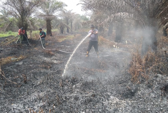 Temukan Kebakaran Lahan Saat Patroli, Bhabinkamtibmas dan MPA Karya Indah Lakukan Pemadaman