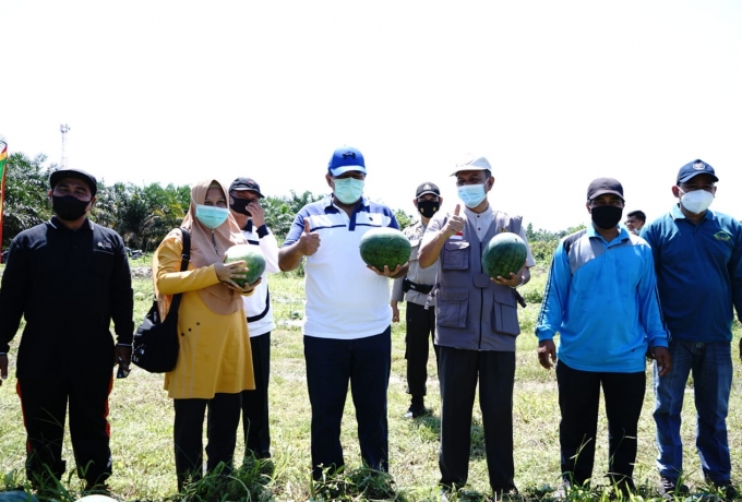 Bupati Alfedri Minta Warga Produktif di Musim Pendemi Covid-19