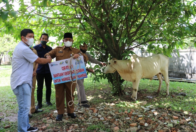 Pemkab Kampar Distribusikan Hewan Qurban Ke Desa dan Masyarakat