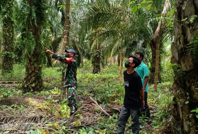 Babinsa Koramil 09/Kemuning Gencarkan Patroli Dialogis Karhutla di Desa Binaan