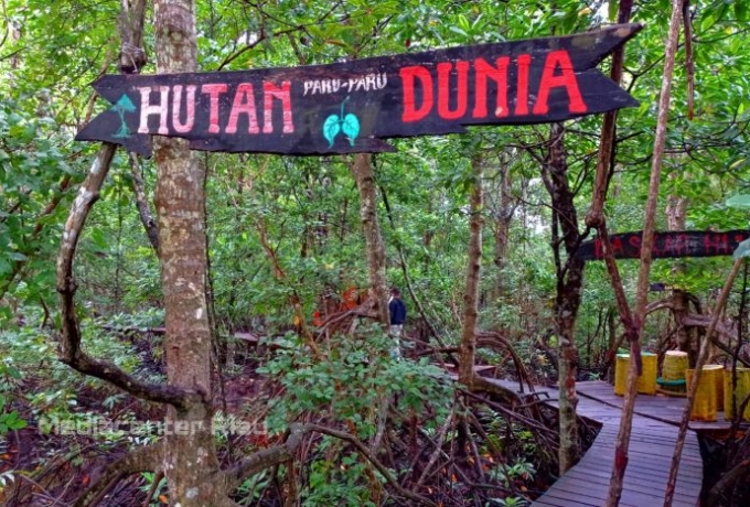 DLHK Riau Target Tanam Puluhan Juta Mangrove