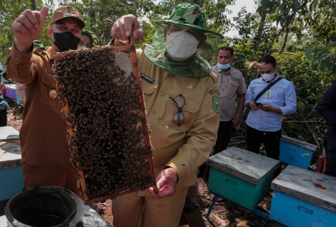 Edy Natar: Budidaya Lebah Madu Bisa Menguntungkan