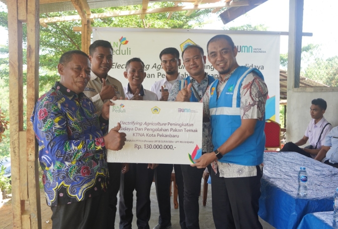 Program Electrifying Agriculture PLN Tingkatkan Budidaya dan Pengolahan Pakan Ternak 