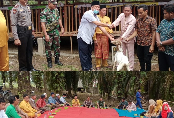 Pemdes Talikumain Kucurkan Dana Ratusan Juta Untuk Peternakan Kambing