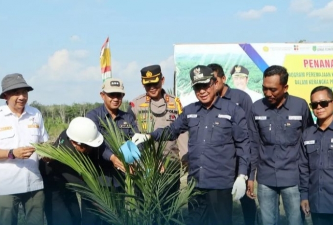 Bupati Inhil Tanam Perdana Kelapa Sawit PKSP di Desa Harapan Jaya