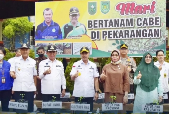 Gubri Bersama Bupati Inhil Kampanyekan Tanam Cabe dan Tinjau Pasar Murah