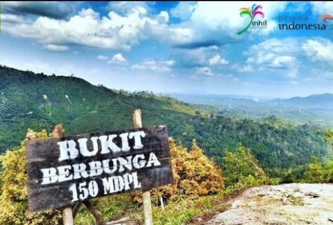 Bukit Berbunga, Destinasi Wisata Alam Unik di Desa Batu Ampar