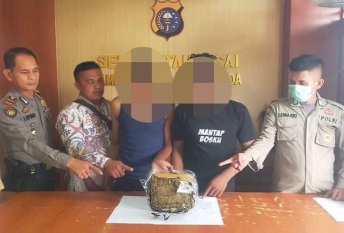 Dua Tersangka Diciduk Personil Polsek Tambusai Tindak Pidana  Narkotika Jenis Tanaman Daun Ganja