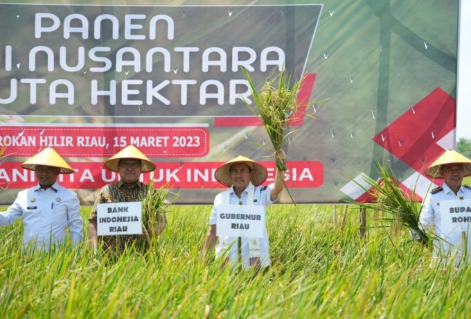 Gubernur Syamsuar Panen Raya Padi Nusantara 1 Juta Hektar