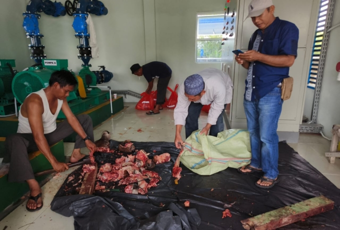 Idul Adha 1444 H, PDAM Tirta Indragiri Sembelih 4 Ekor Hewan Qurban