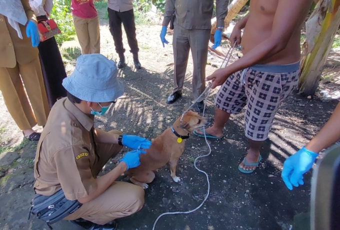 Rabies, Dinkes Pekanbaru Sediakan VAR Gratis