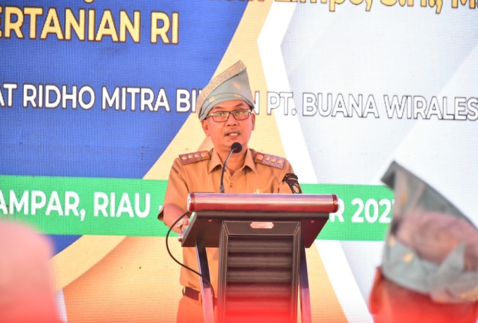 Pj Mhd Firdaus Tanam Perdana Percepatan Peremajaan Sawit Rakyat