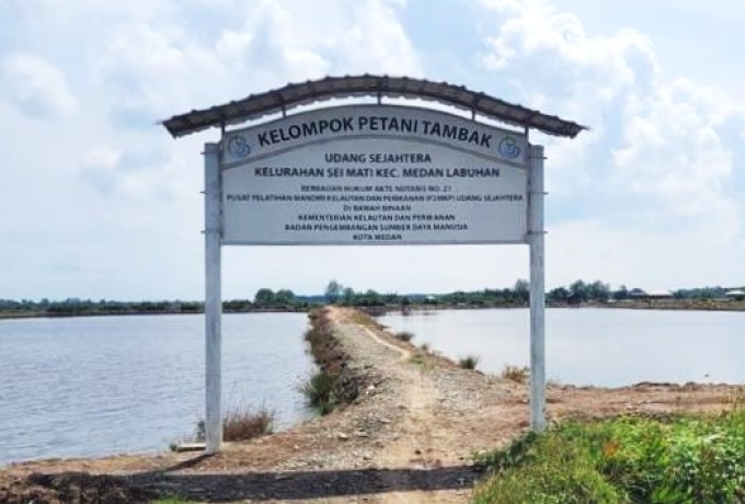 Gencar Kembangkan UMK, PLN Beri Bantuan Perahu dan Pelatihan Petani Tambak Udang