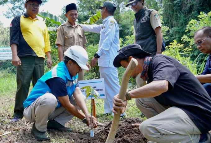 Jaga Kelestarian Lingkungan, PLN Dukung Gerakan Gotong Royong Boyong Pohon Bersama BUMN