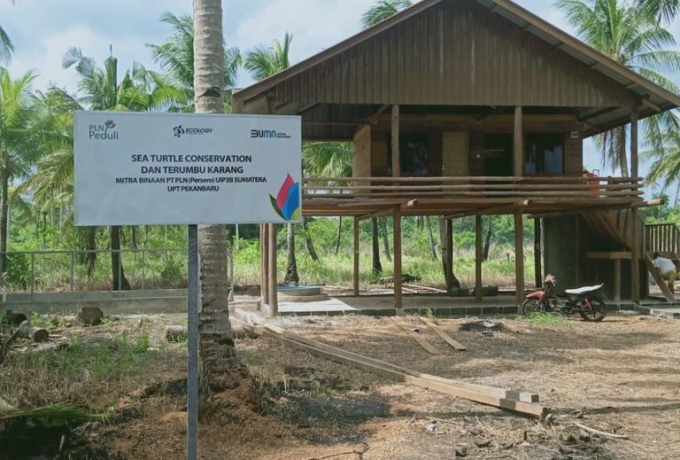 Melalui Program TJSL, PLN Lakukan Konservasi Ekosistem Laut di Pulau Mapur Bintan