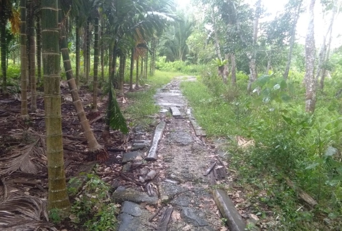 Jalan Poros Jepun Desa Telaga Baru Menjadi Sorotan Masyarakat, Pemerintah Terkesan Tak Merespon