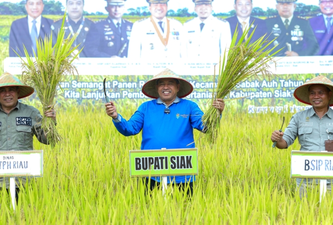 Panen Raya Padi di Desa Laksamana, Bupati Alfedri Serahkan 16 Unit Mesin Pompa Air dan 1 Cultivator