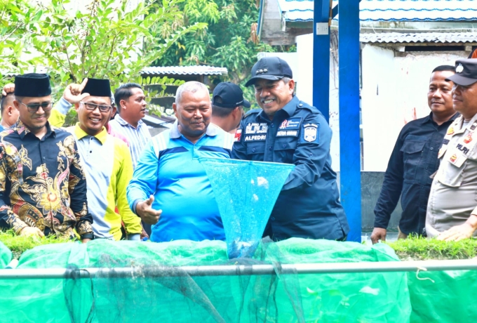 Bupati Siak Panen Perdana Ikan Lele di Kecamatan Dayun