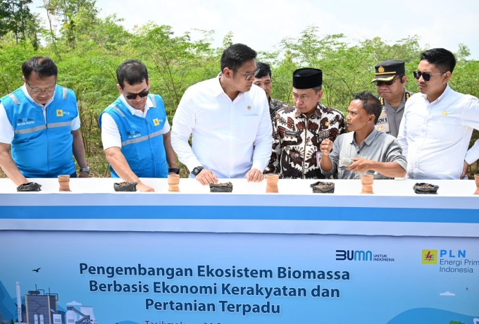 Terus Kembangkan Bahan Co-Firing Biomassa, PLN Bersama Kementan Luncurkan Model Pertanian Terpadu