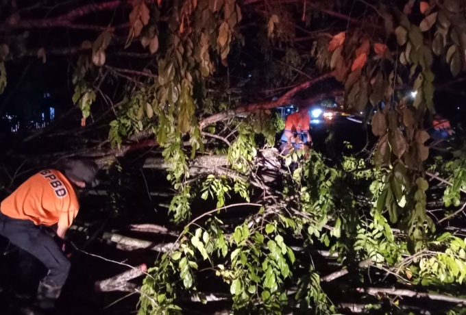 Tingginya intensitas Hujan disertai Angin Kencang, Pemkab Kampar Himbau Tetap Waspada.