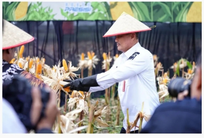 Pemprov Riau Apreaiasi Panen Raya Jagung Polda