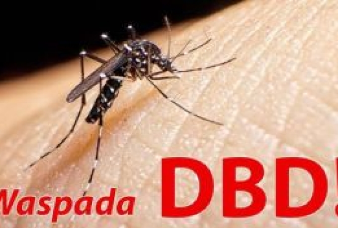 Dalam Empat Bulan 1.471 Kasus DBD, Dinas Kesehatan Riau Ajak Warga Tingkatkan Kewaspadaan