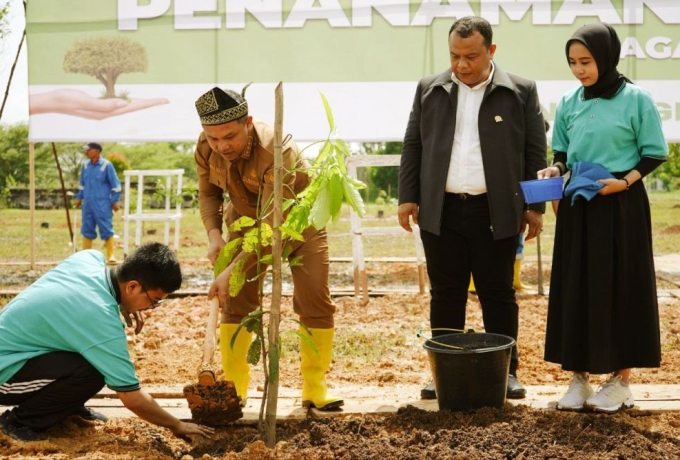 Bupati Rohil Dukung Penuh Gerakan Penanaman Pohon