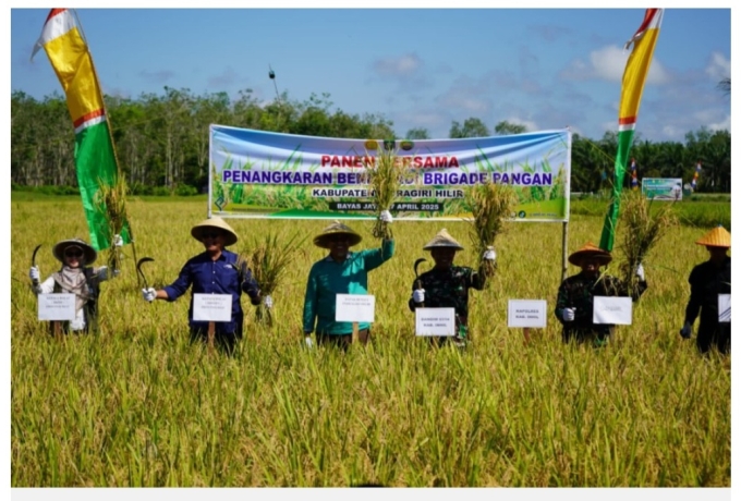 Dukung Swasembada Beras, Pj Sekda Inhil Panen Raya dan Tanam Padi Serentak
