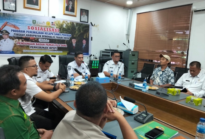 Disbun Bengkalis Genjot Peremajaan Sawit Rakyat, Target 300 Hektare di 2026