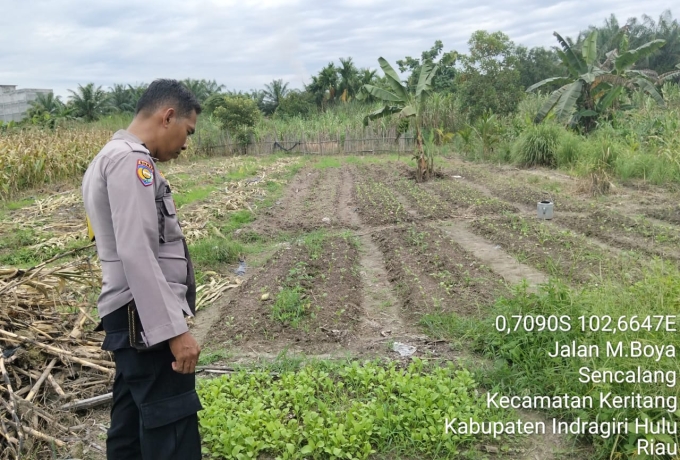 Polsek Keritang Kawal Ketahanan Pangan Dari Akar Rumput, Bukan Sekadar Wacana