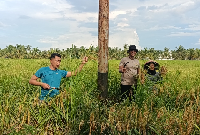 Lahan Polsek Sungai Batang Jadi Bukti Nyata, Ketahanan Pangan Dimulai Dari Desa