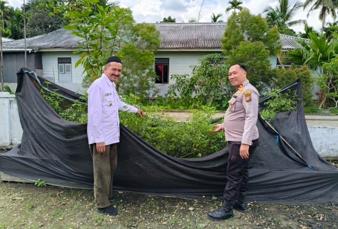 IPTU Andi Purba Turun Langsung Pantau Lahan Cabai di Desa Teluk Pantaian