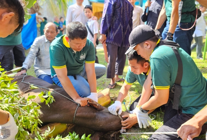 PLN UIP3B Sumatera Salurkan 40 Ekor Sapi dan 12 Ekor Kambing, Ribuan Masyarakat Rasakan Manfaatnya
