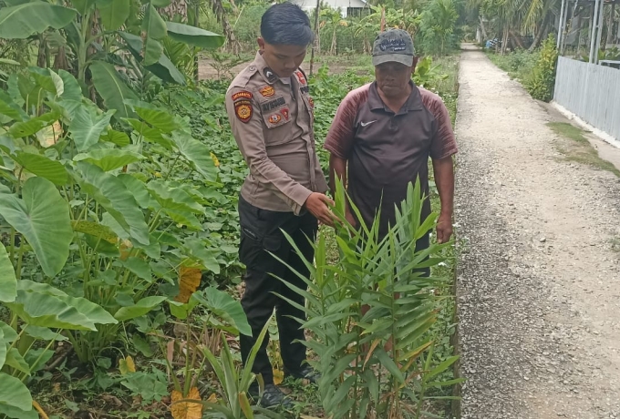 Dari Patroli ke Pekarangan, Polsek Enok Tegaskan Peran Polri Dukung Ketahanan Pangan Nasional