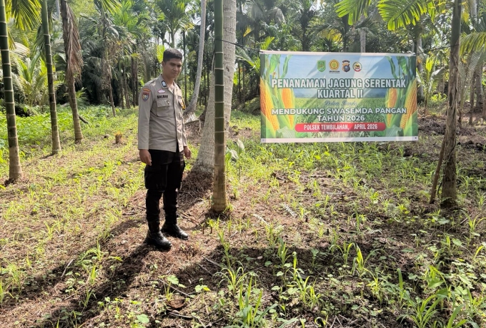 Brigadir Salman dan Jagung Tembilahan: Kisah Bhabinkamtibmas yang Menjaga Ketahanan Pangan dari Akar Rumput