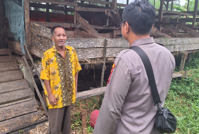 Aiptu Untung Sambangi Peternakan Sapi, Polsek Keritang Tegaskan Komitmen Dukung Peternak Lokal