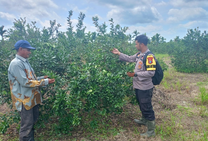 Polsek GAS Pastikan Ketahanan Pangan Tumbuh Subur