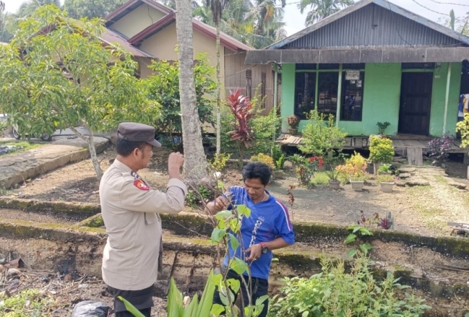 Aiptu Benny Codiyat Sapa Pekarangan Enok, Sayur dan Kunyit Tumbuh Demi Ketahanan Pangan