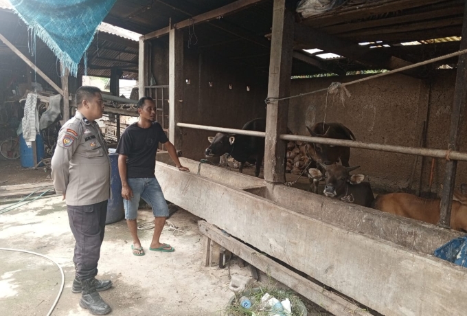 Bhabinkamtibmas Polsek Keritang Cek Peternakan Sapi di Desa Kotabaru Seberida