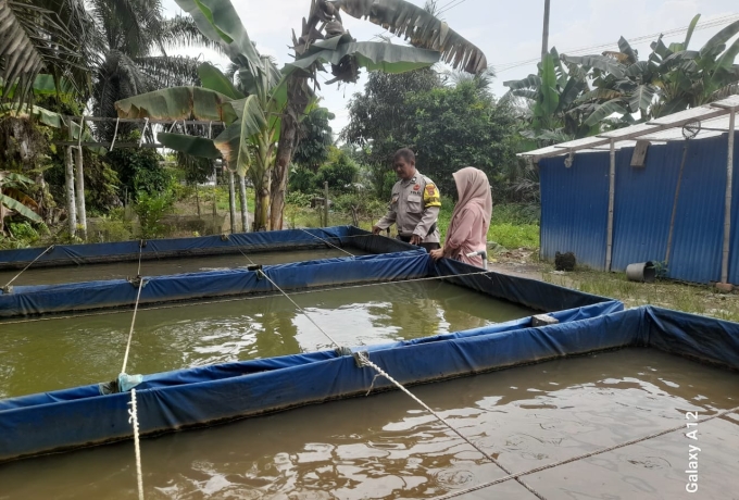 Bhabinkamtibmas Desa Pengalihan Monitoring Kolam Ikan Warga dalam Mendukung Ketahanan Pangan
