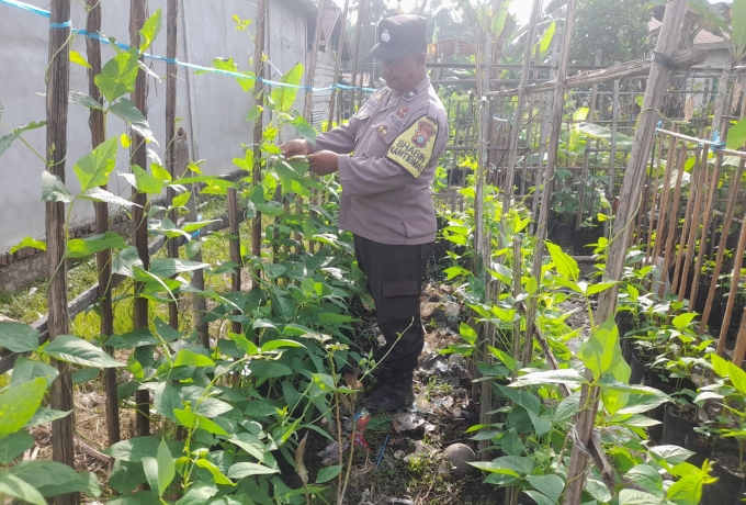 Pengalihan Berkebun, AKP Yosi: Ini Wujud Kepedulian Polri untuk Negeri