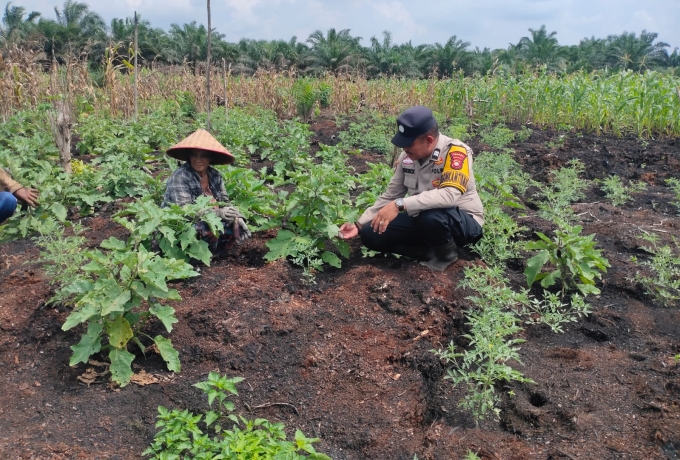 Kapolsek Keritang Instruksikan Bhabinkamtibmas Dukung Program Ketahanan Pangan di Desa Lintas Utara