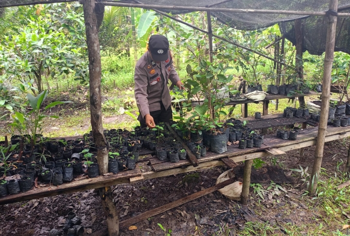 Dari Pohon Jeruk di Kuala Gaung, Polsek GAS Kawal Program Ketahanan Pangan