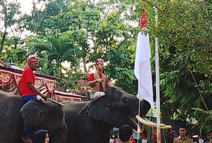 Gajah Sumatera Jadi Pengerek Bendera pada Upacara HUT ke-81 RI di Kasang Kulim Zoo