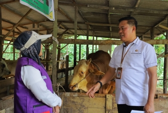 Jelang Idul Adha, Distankan Pekanbaru Pastikan Hewan Kurban Bebas PMK