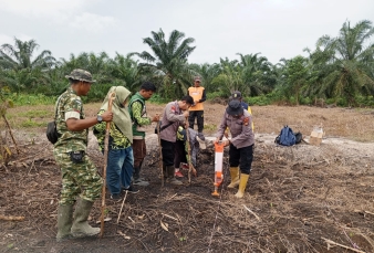 Polsek Keritang Gerak Cepat Dukung Swasembada Pangan: 1,5 Hektar Lahan Bumdes Ditanami Jagung Hibrida