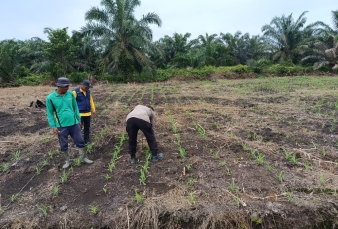 Sinergi Polri dan Stakeholder Di Keritang, Ketahanan Pangan Dimulai Dari Desa