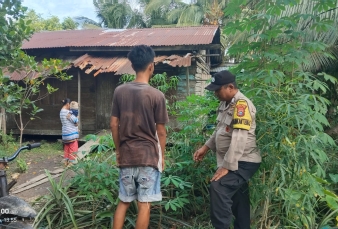 Tingkatkan Produktivitas Ekonomi Warga , Personel Polsek Enok Pantau Tanaman Di Perkarangan Rumah